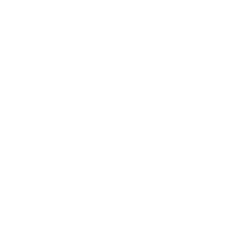 cash icon