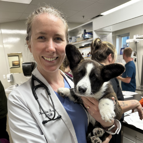 Dr. Melanie Rossin-Gray
