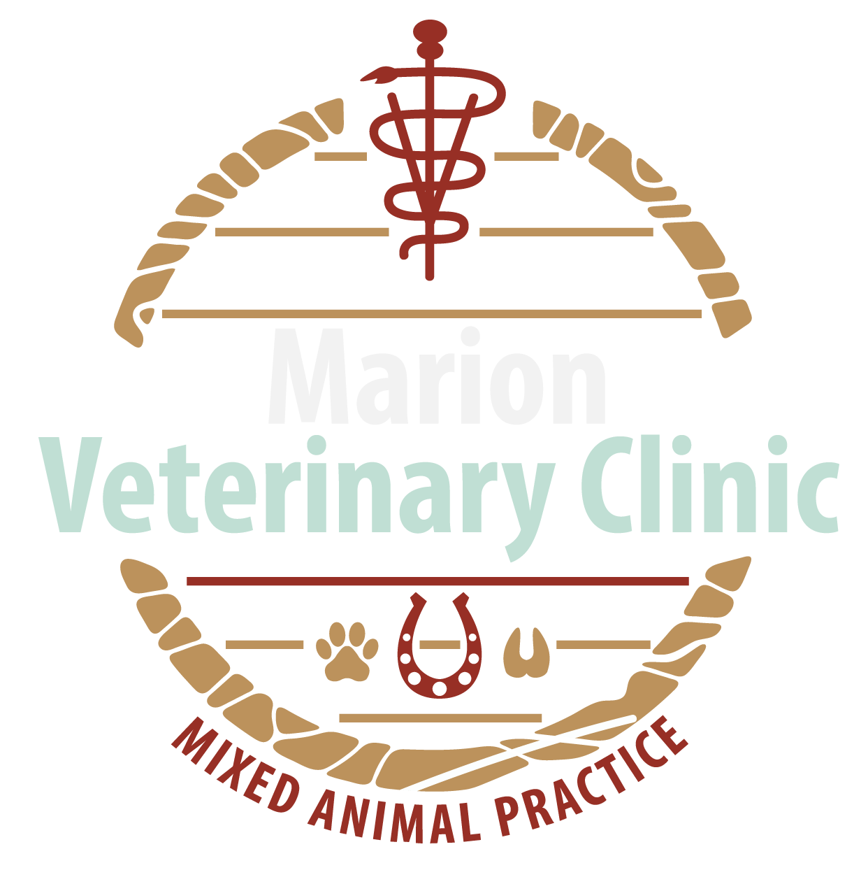 marion Veterinary Clinic logo marion Veterinary Clinic logo